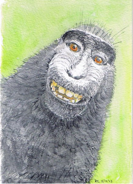 grinning monkey.jpeg